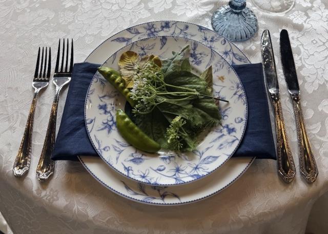 Rental store for Salad Plate, Hive Blue, 8 in Charlottesville VA